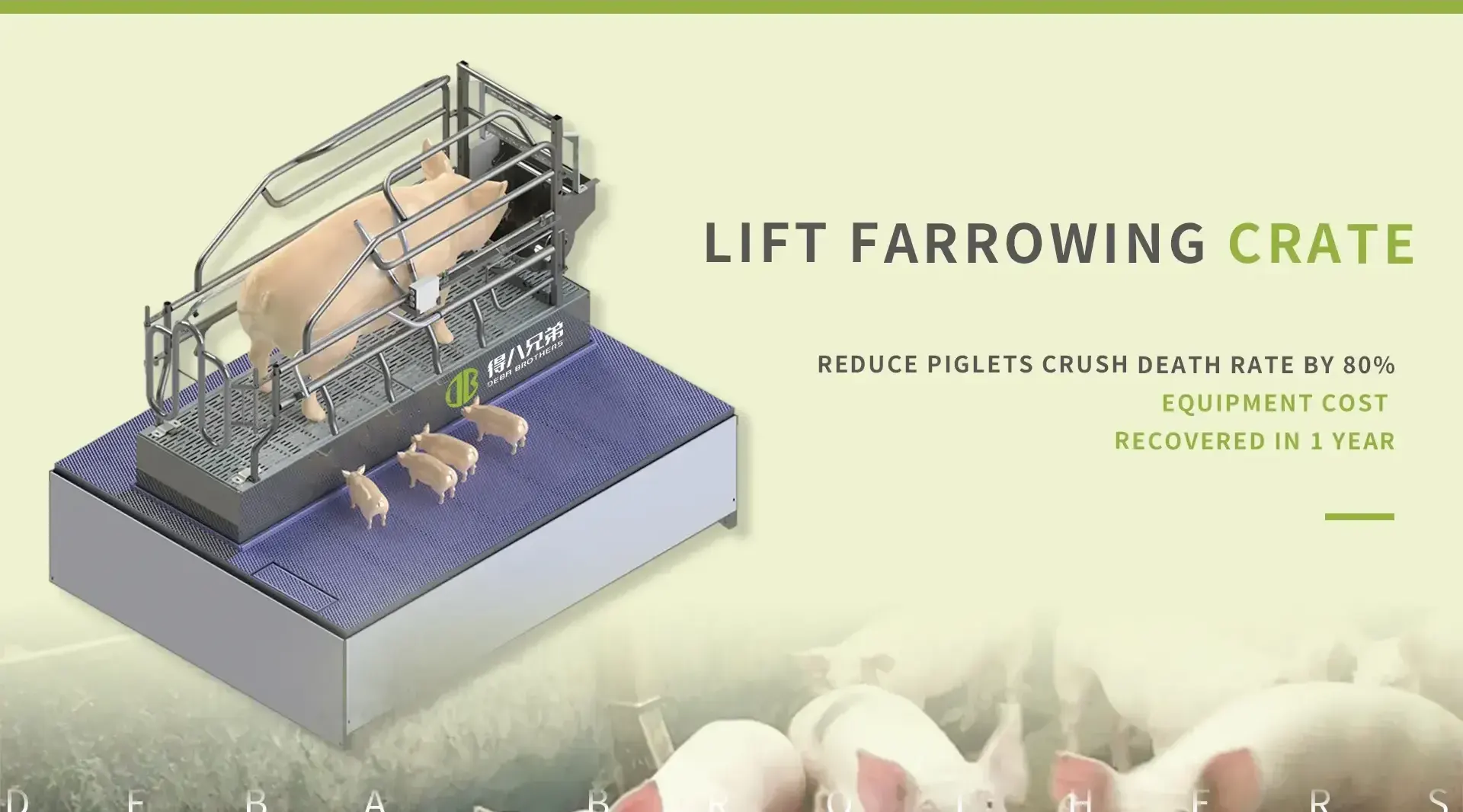 China Lift Farrowing Crate Factory