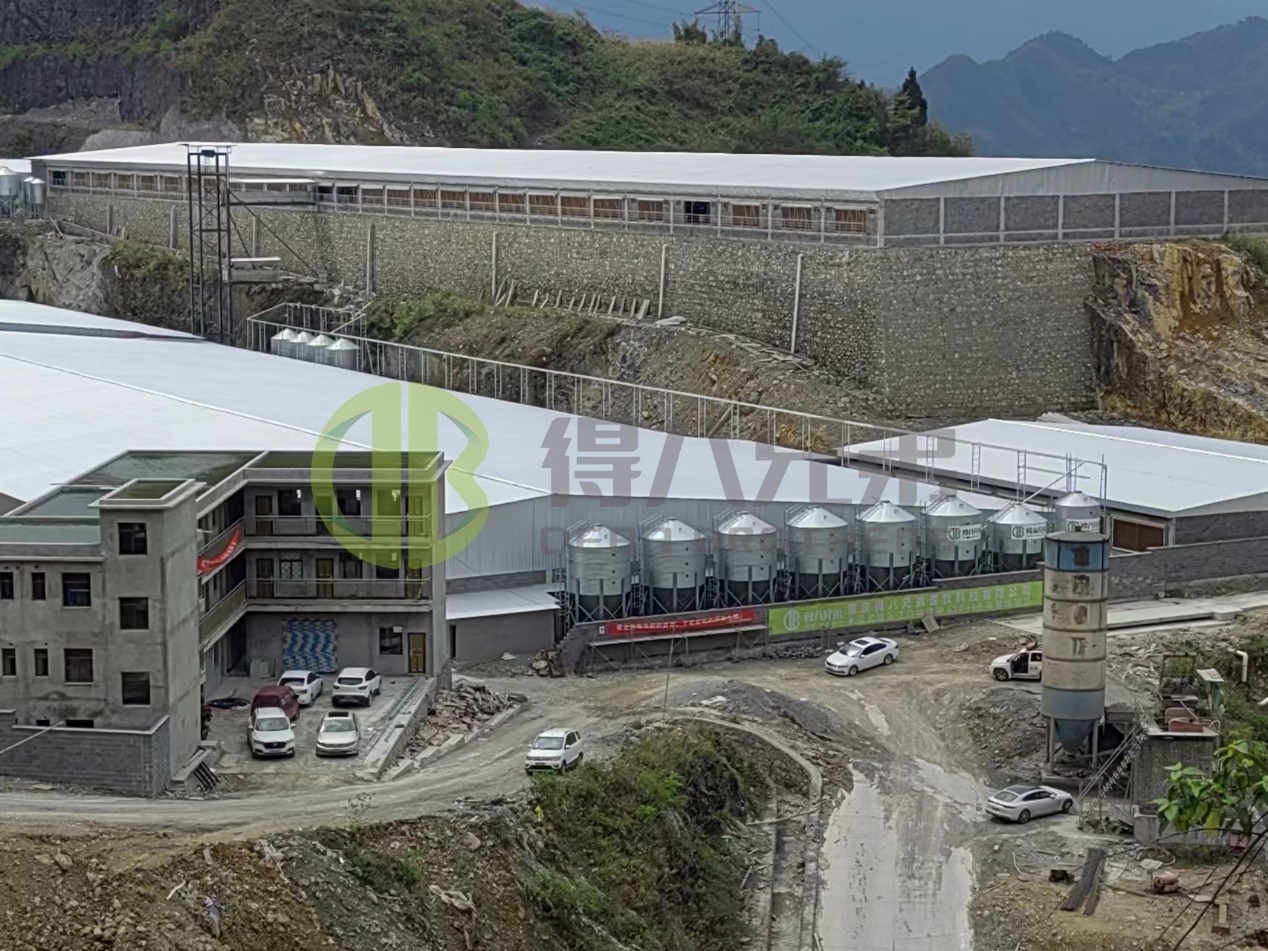 Panduan Perbaikan dan Pemeliharaan Fasilitas Peternakan Babi