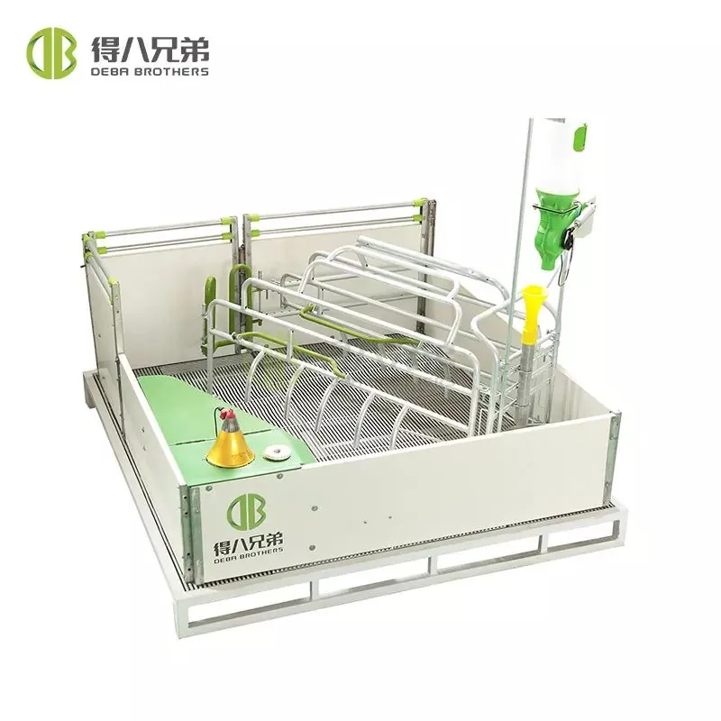 Bagaimana menjaga peternakan babi dari wabah