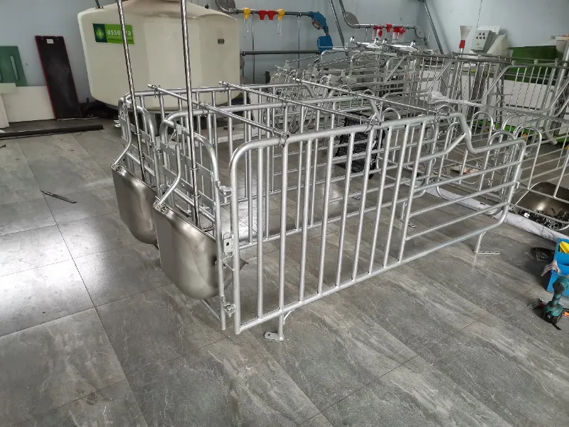 Keunggulan Inti Galvanisasi Hot-Dip untuk Peralatan Kandang Peternakan Babi
